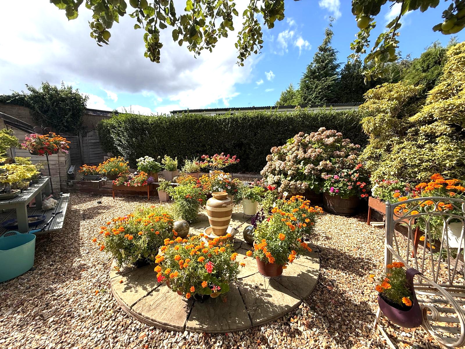 Belle Orchard, Kidderminster, DY11