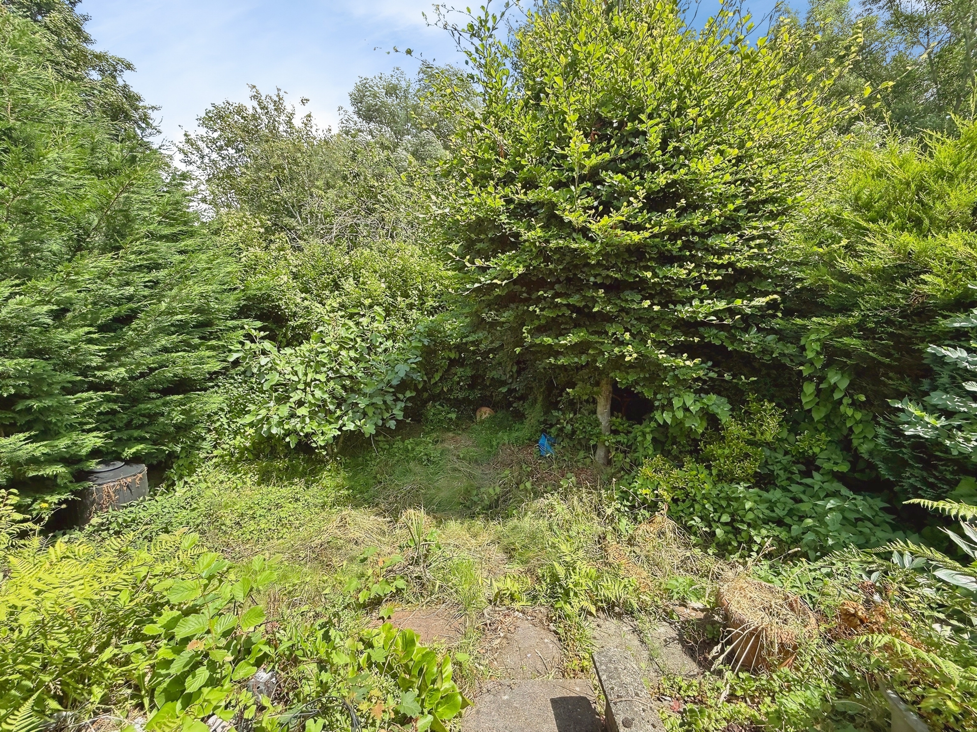 Trimpley Drive, Kidderminster, DY11
